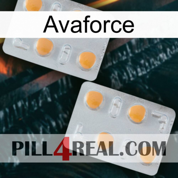 Avaforce 25.jpg